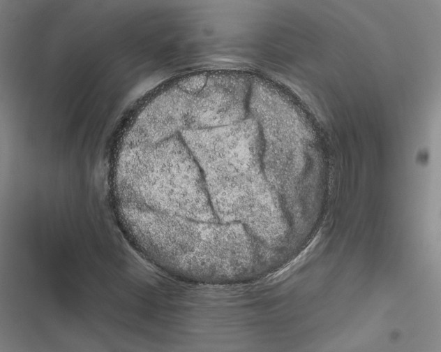 X0000116781402201001141502