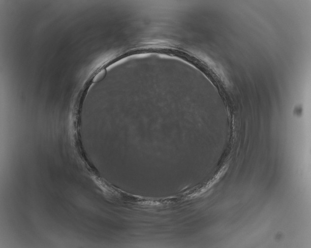 X0000116781405201001141502