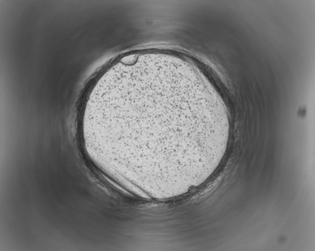 X0000116781406201001141502