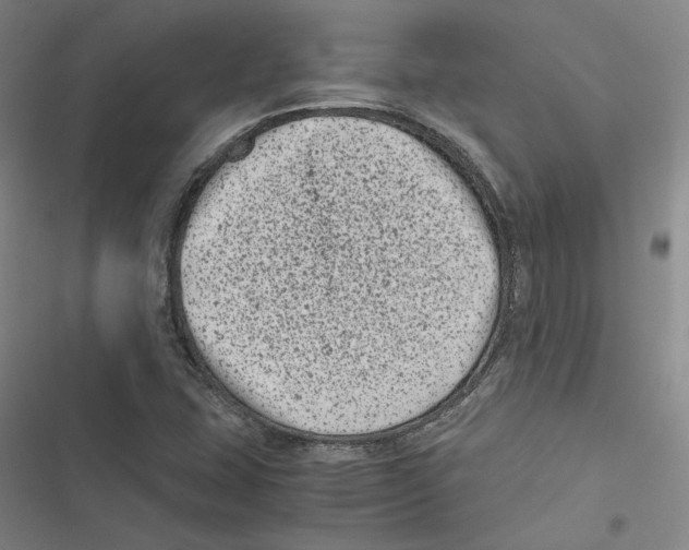 X0000116781407201001141502