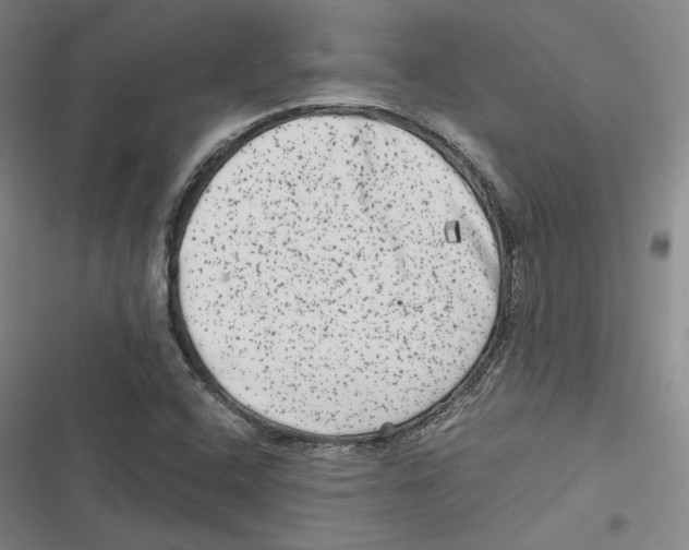 X0000116781408201001141502