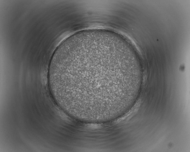 X0000116781409201001141502