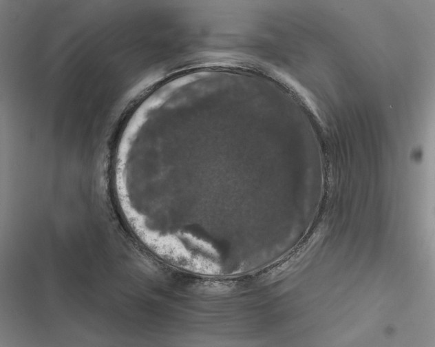 X0000116781411201001141502