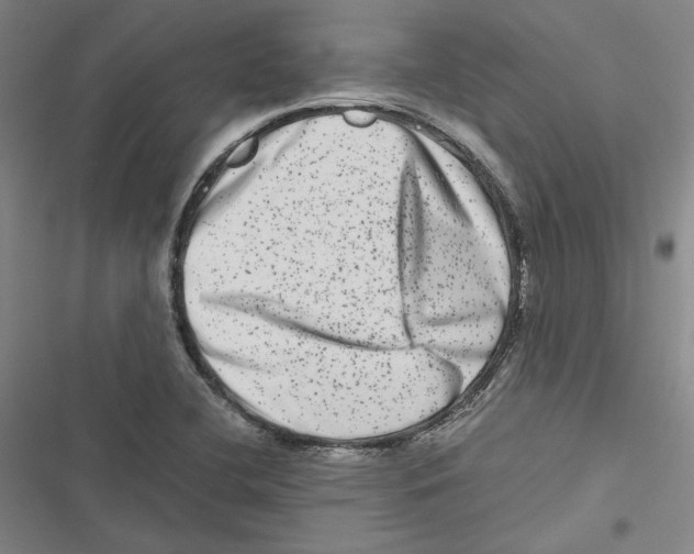 X0000116781412201001141502