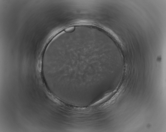 X0000116781413201001141502