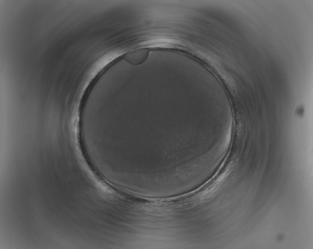 X0000116781418201001141502