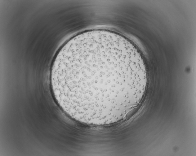 X0000116781420201001141502