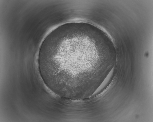 X0000116781421201001141502