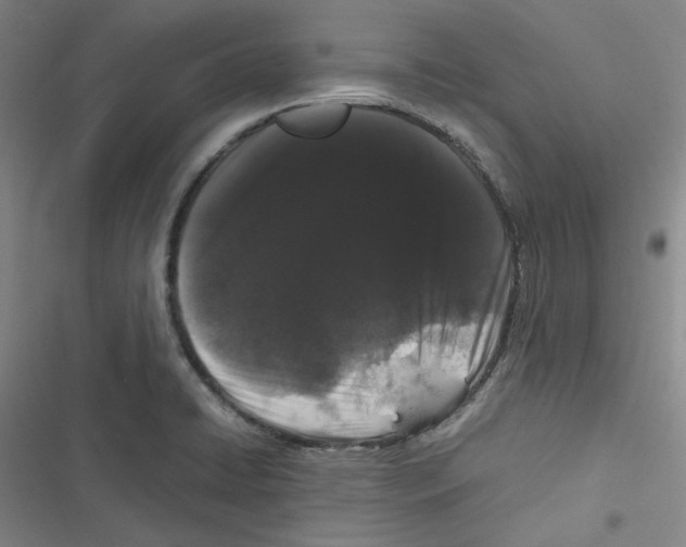 X0000116781422201001141502