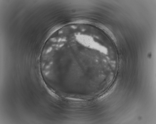 X0000116781425201001141502