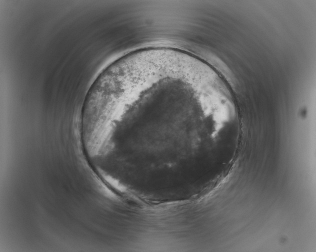 X0000116781428201001141502