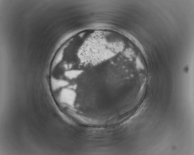 X0000116781429201001141502