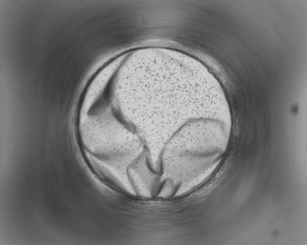 X0000116781430201001141502