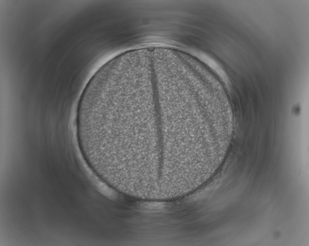 X0000116781431201001141502