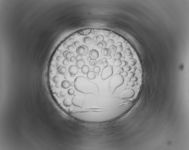 X0000116781432201001141502