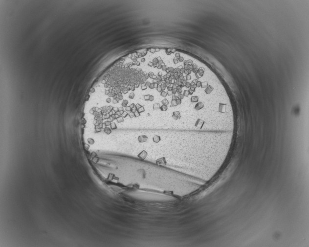 X0000116781433201001141502