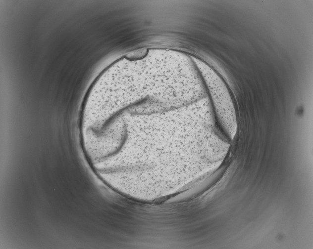 X0000116781434201001141502