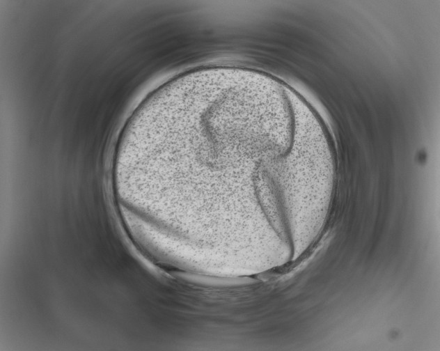 X0000116781437201001141502