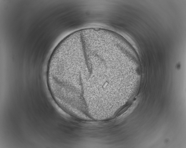 X0000116781438201001141502