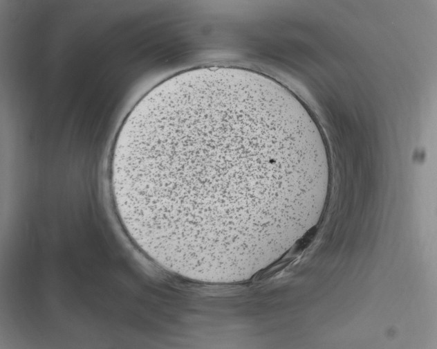 X0000116781440201001141502