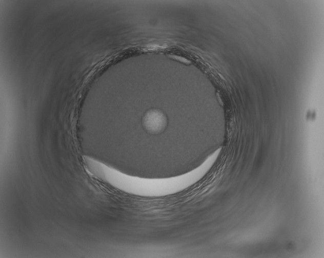 X0000116781441201001141502