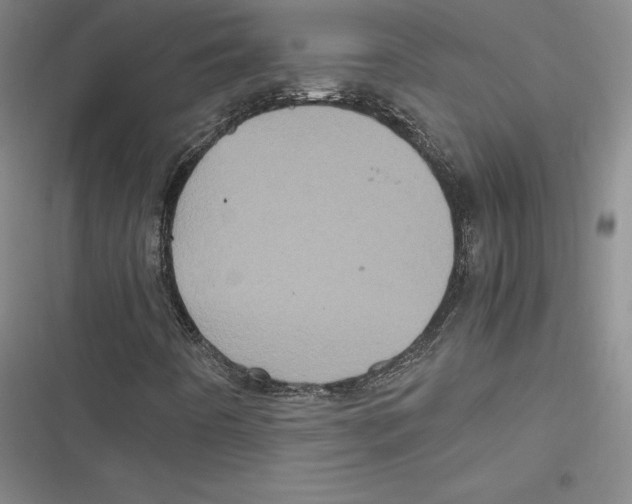 X0000116781442201001141502