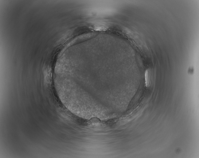 X0000116781443201001141502