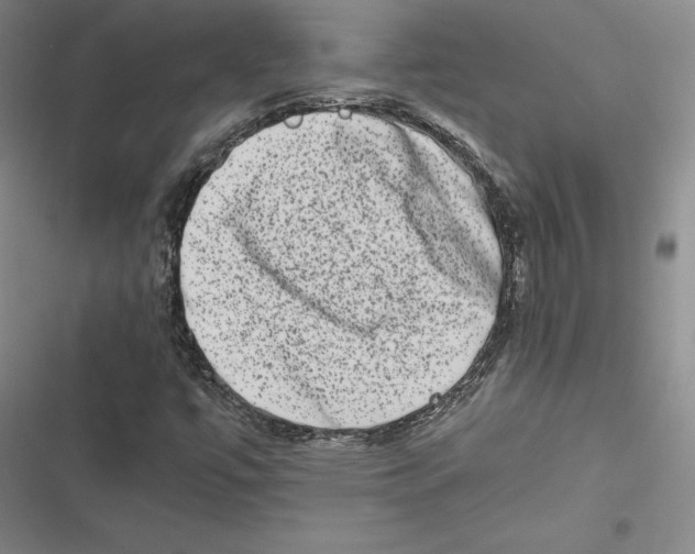 X0000116781447201001141502