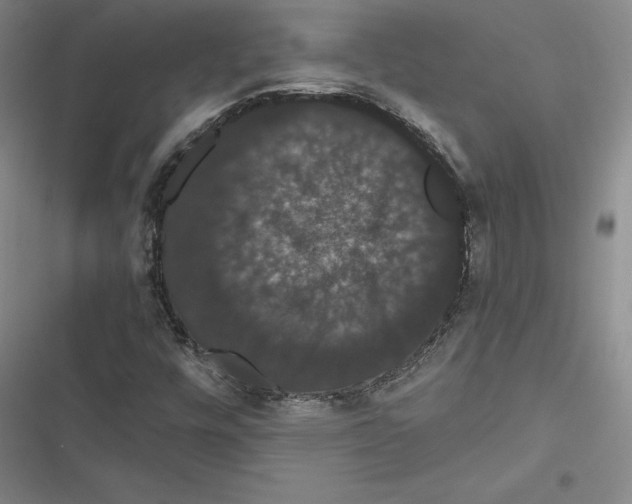 X0000116781448201001141502