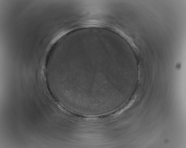 X0000116781453201001141501