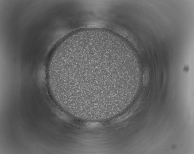 X0000116781454201001141501