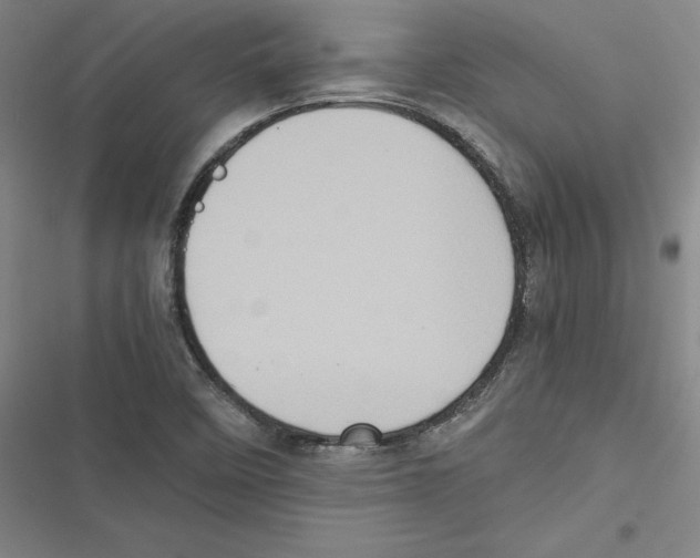 X0000116781458201001141501