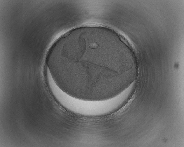 X0000116781461201001141501