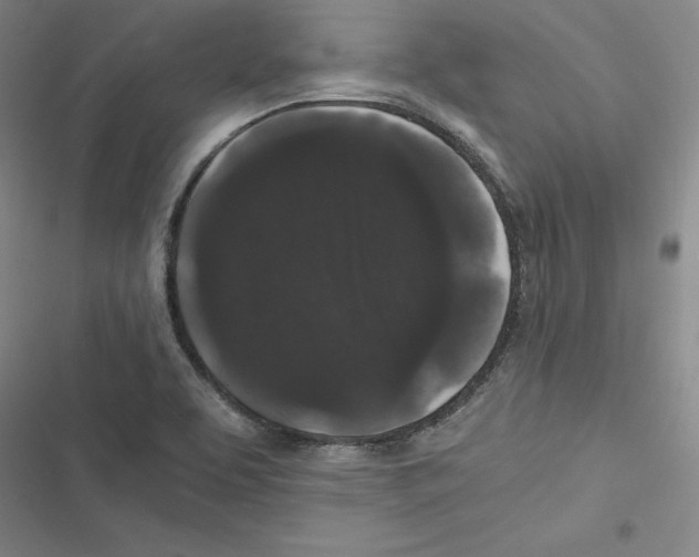 X0000116781463201001141501