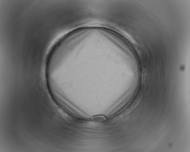 X0000116781464201001141501