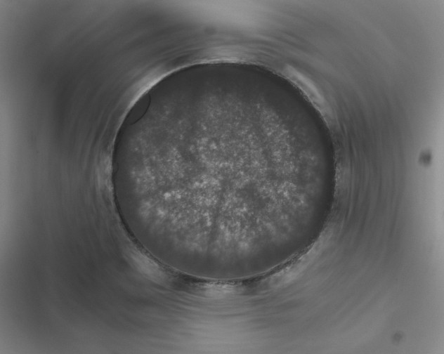 X0000116781465201001141501