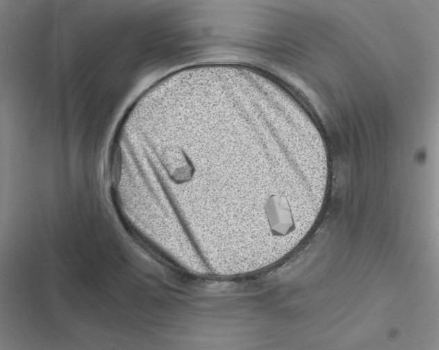 X0000116781467201001141501