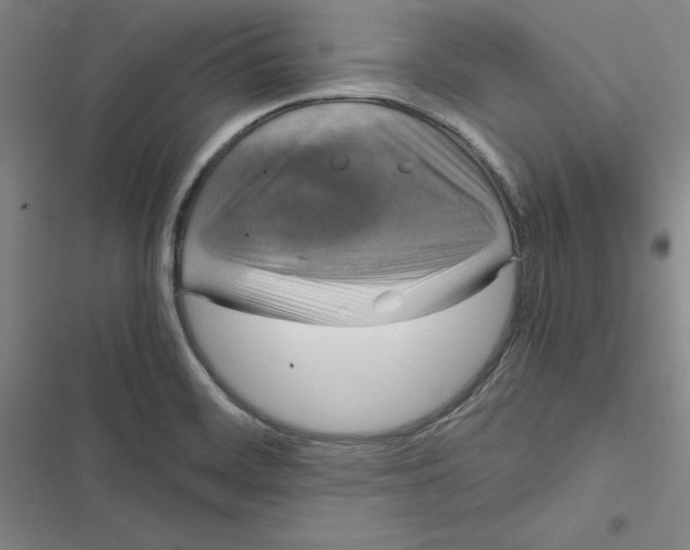 X0000116781468201001141501