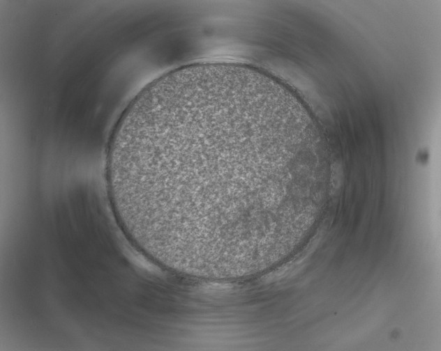 X0000116781470201001141501