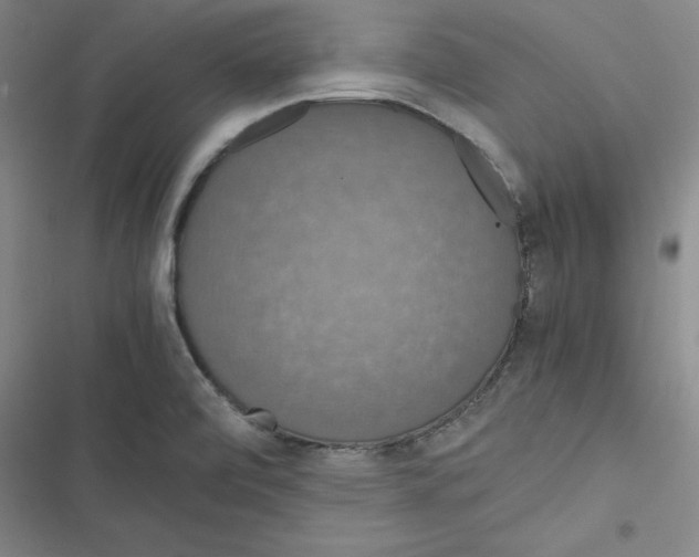 X0000116781472201001141501