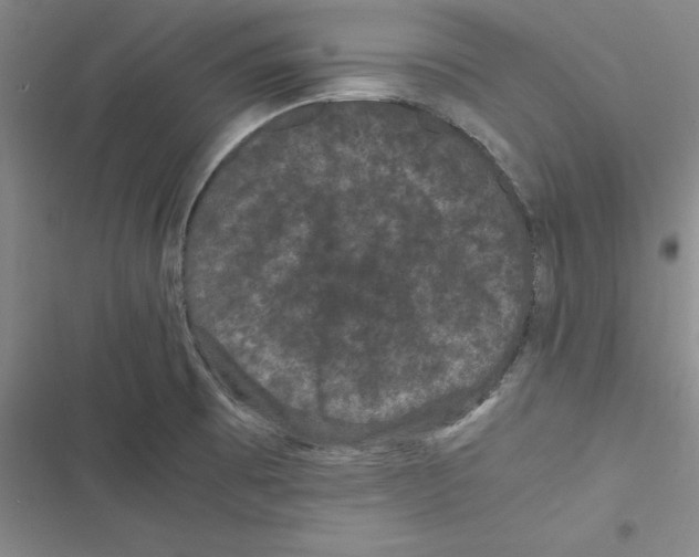 X0000116781473201001141501