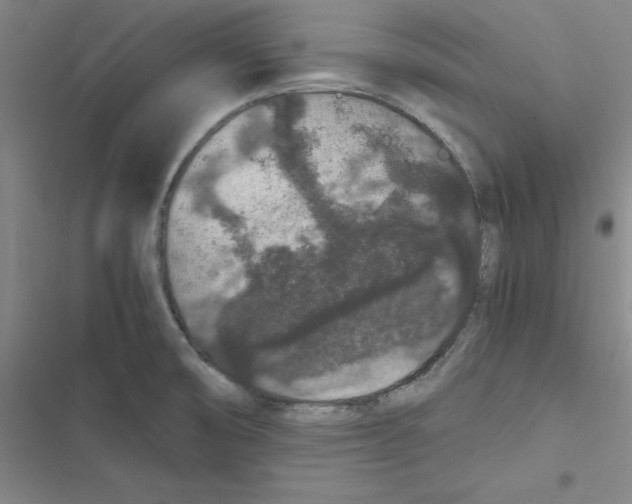 X0000116781474201001141501