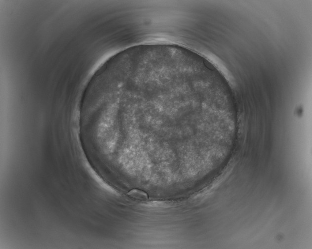 X0000116781476201001141501