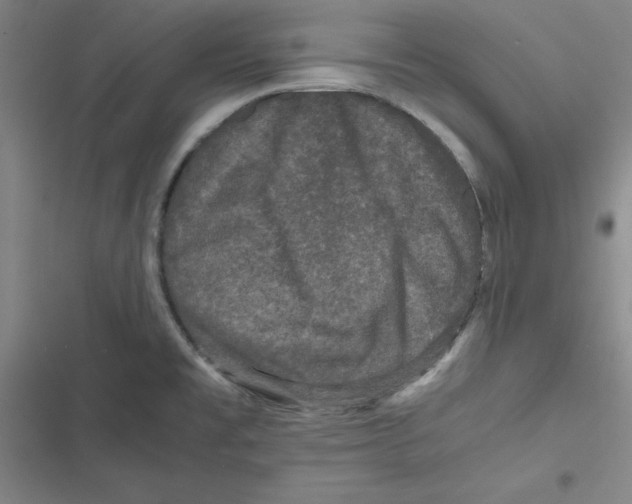 X0000116781477201001141501