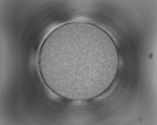 X0000116781478201001141501