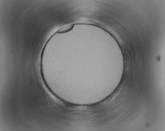 X0000116781479201001141501