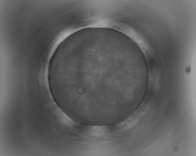 X0000116781480201001141501