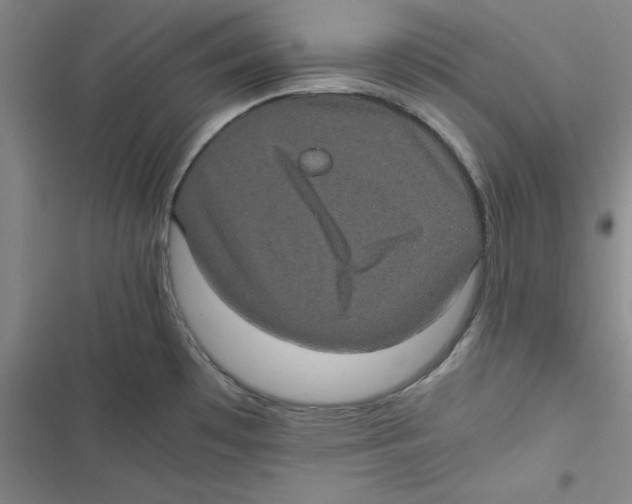 X0000116781481201001141501