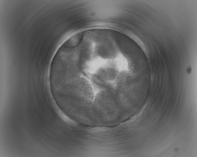 X0000116781482201001141501