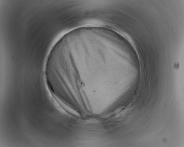 X0000116781488201001141501